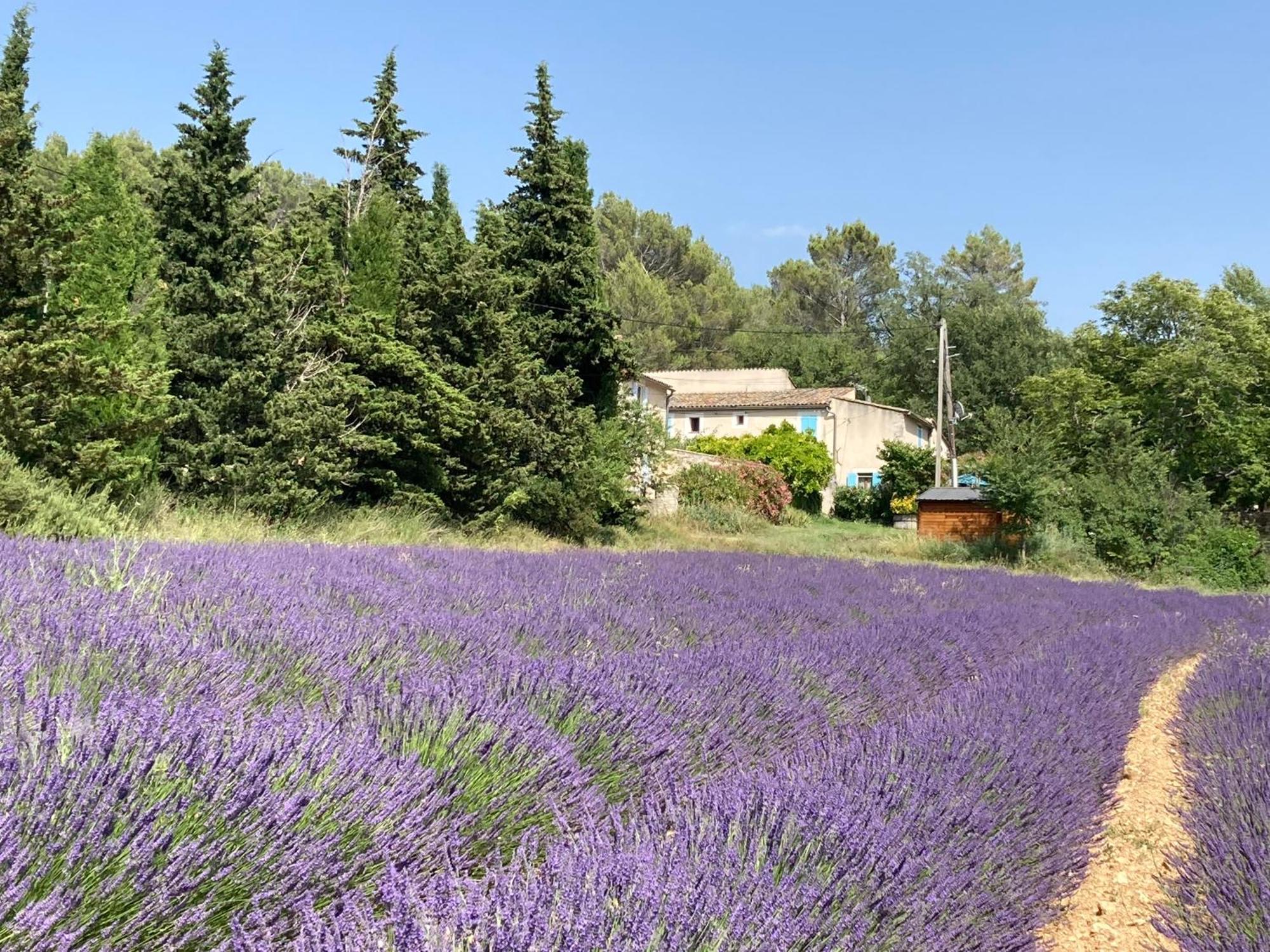 Maison Au Colorado Provencal Villa Рустрел Екстериор снимка